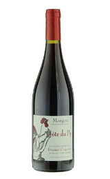 Вино Damien Coquelet Morgon Cote du Py 2020 0,75 л