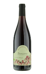 Вино Domaine Etienne et Sebastien Riffault Raudonas Sancerre 2011 0,75 л