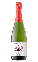 Игристое вино Vidadelsur Brut 0,75 л