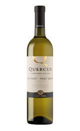Вино Klet Brda Quercus Pinot Grigio 2022 0,75 л