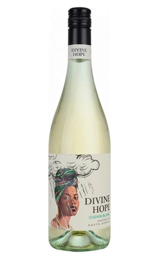 Вино Paul Sapin Divine Hope Chenin Blanc 2022 0,75 л
