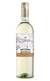 Вино Anterra Moscato 2024 0,75 л