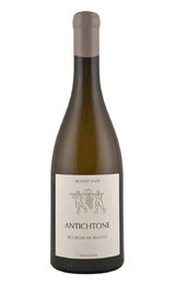 Вино Benoit Ente Bourgogne 2021 0,75 л