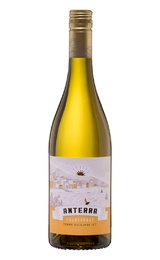 Вино Anterra Chardonnay Terre Siciliane 2024 0,75 л