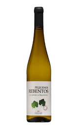 Вино Pequenos Rebentos Alvarinho Trajadura 2023 0,75 л