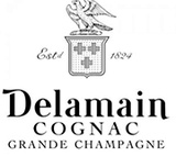 логотип Delamain