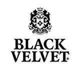 логотип Black Velvet